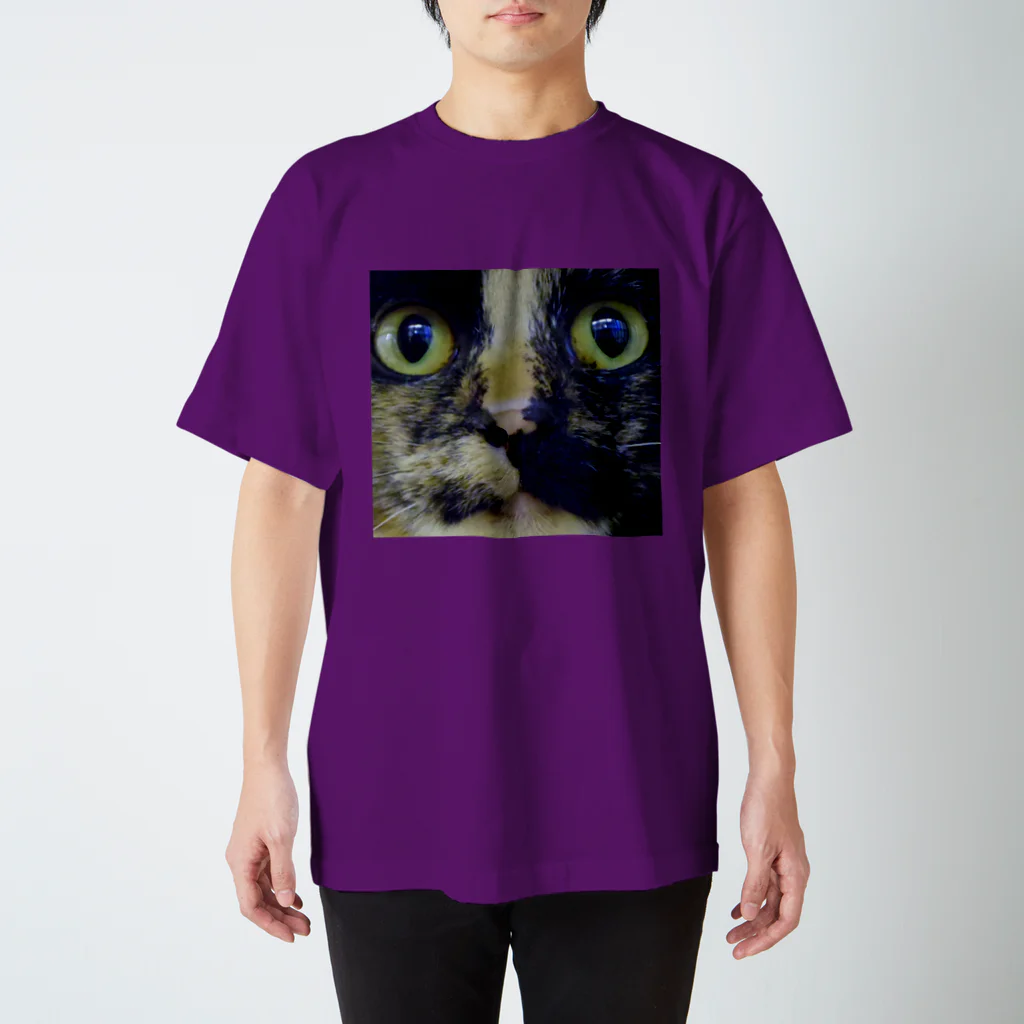 あかめ@猫カフェのサビ猫 スタンダードTシャツ