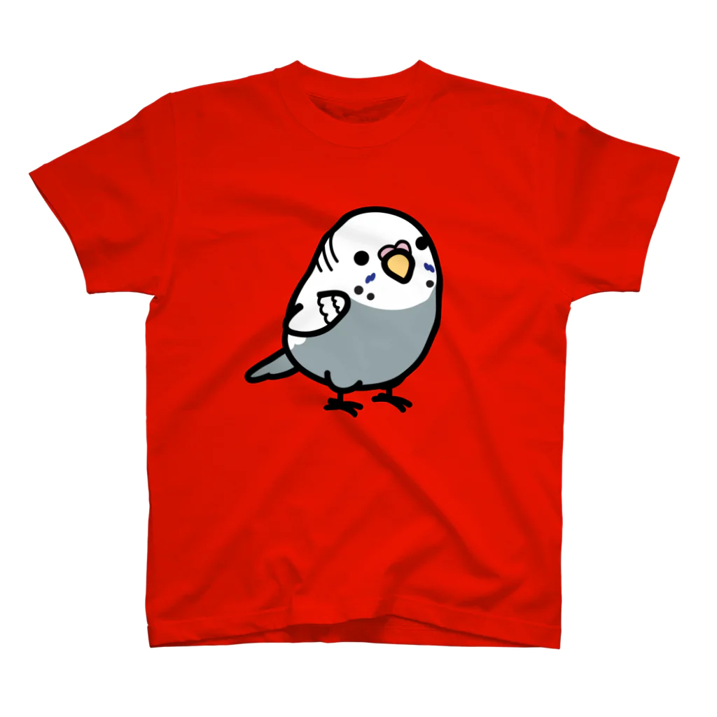 Cody the LovebirdのChubby Bird セキセイインコ　グレー　女の子 スタンダードTシャツ