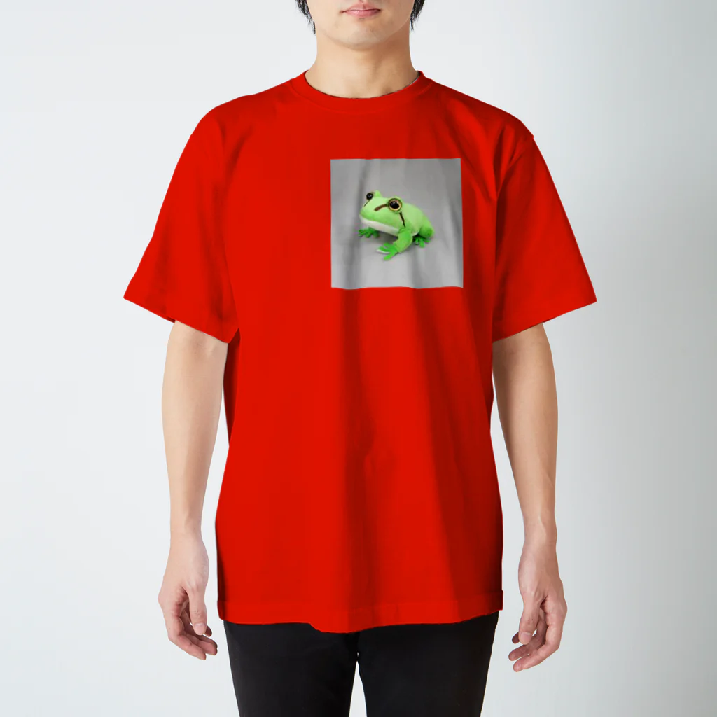 🌽🌽🌽のかえる スタンダードTシャツ