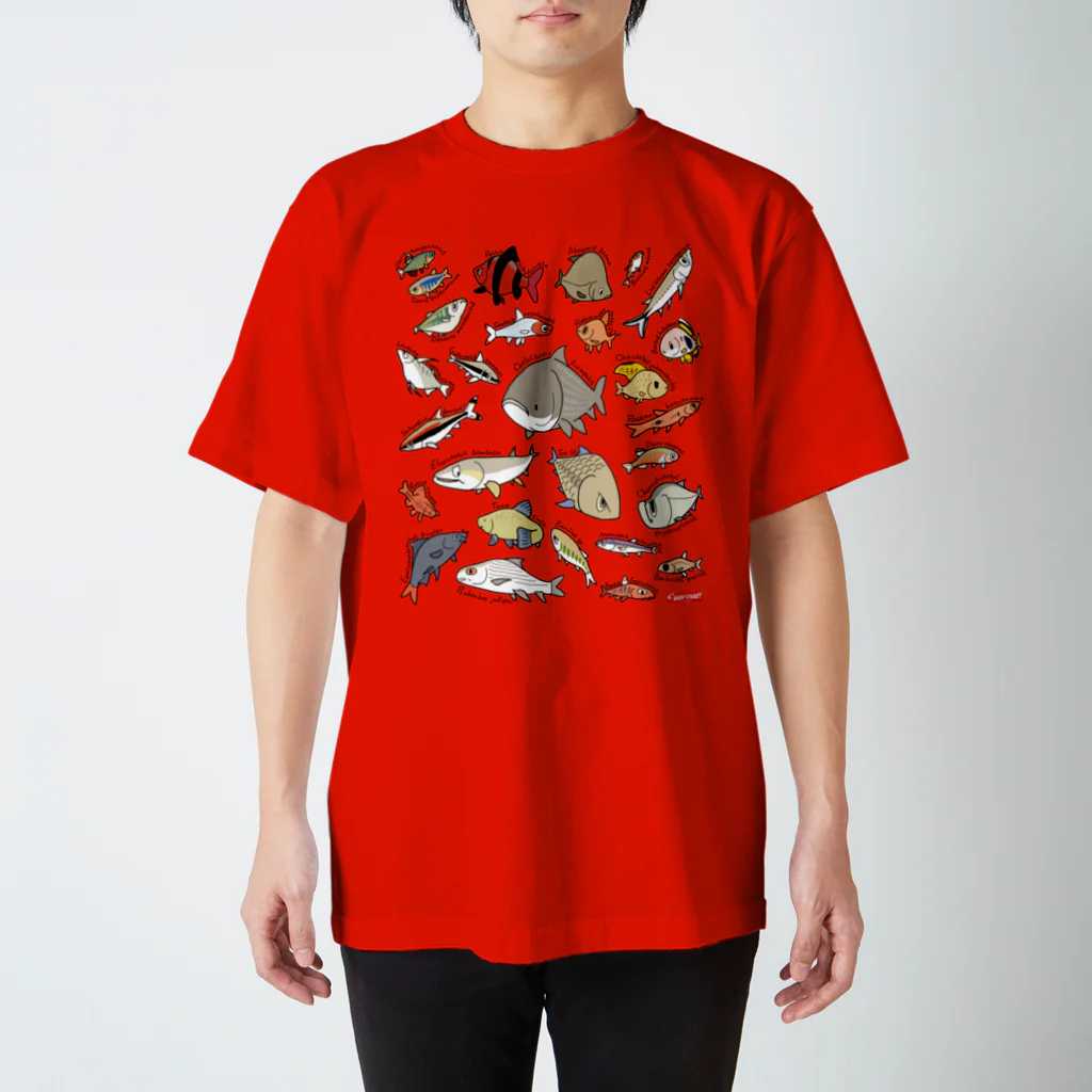 幻想水系branch　byいずもり・ようのVery Cyprinids!（international) Regular Fit T-Shirt
