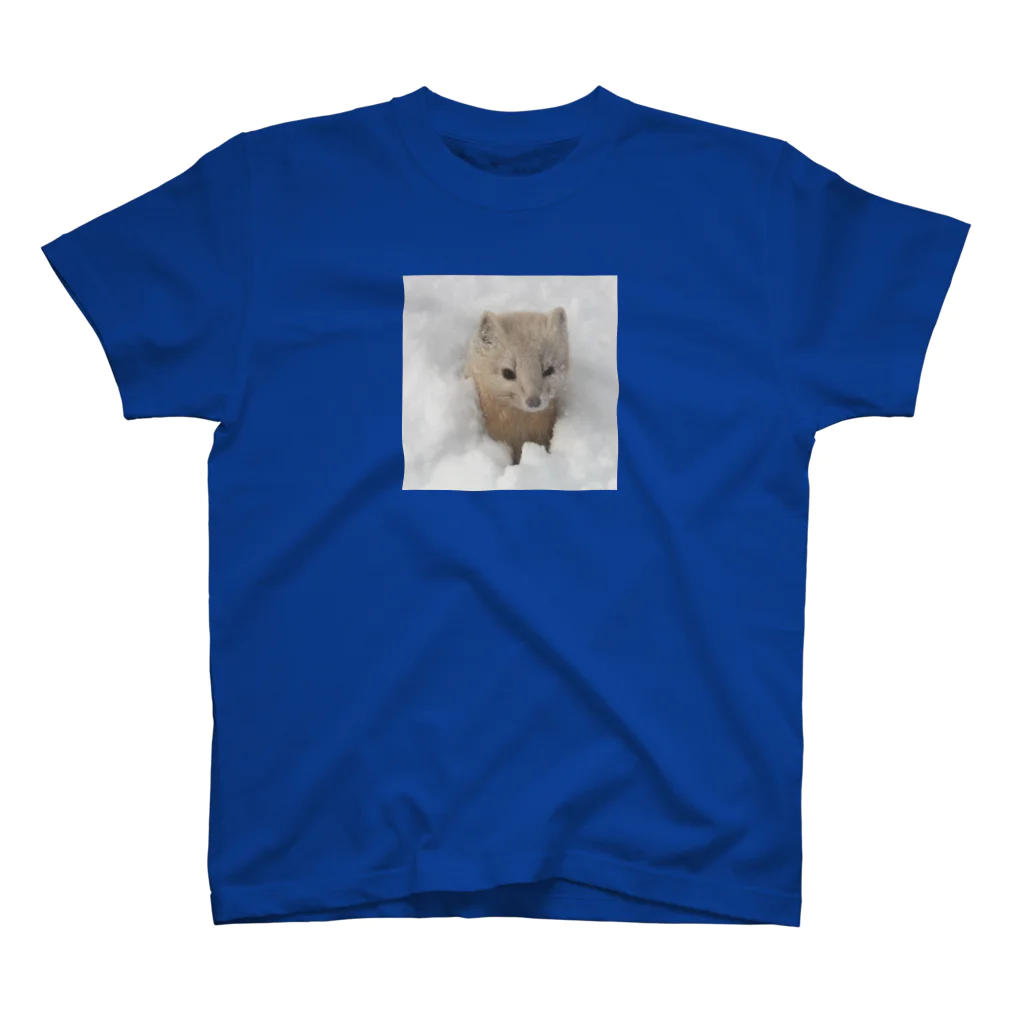 【動物の魔法】動物が好きな全ての人が笑顔溢れる毎日を過ごすための雑貨店◆にこらびの好きか嫌いか★サロベツのエゾクロテン Regular Fit T-Shirt