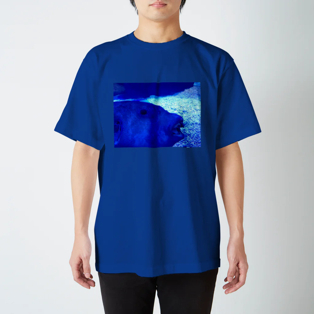 n.matsuiの魚 スタンダードTシャツ