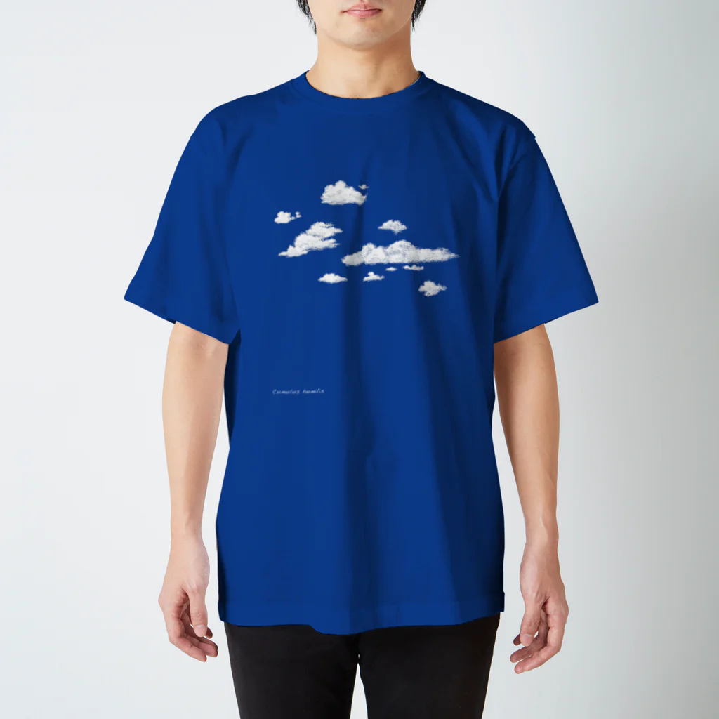 stelfestoのCumulus humilis 〜積雲 スタンダードTシャツ