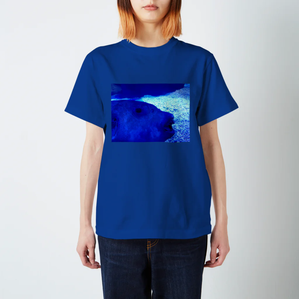 n.matsuiの魚 スタンダードTシャツ