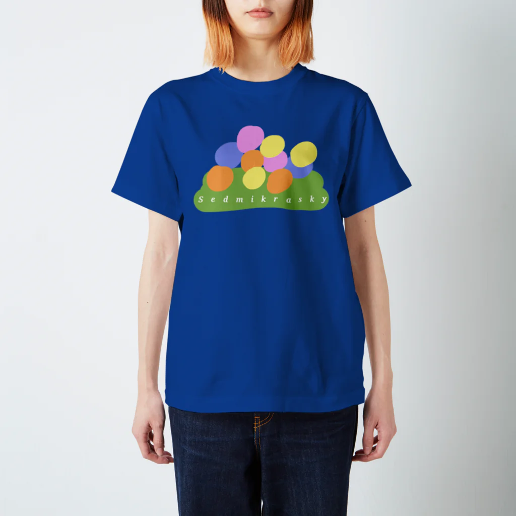 Sedmikraskyのお花畑（概念） Regular Fit T-Shirt