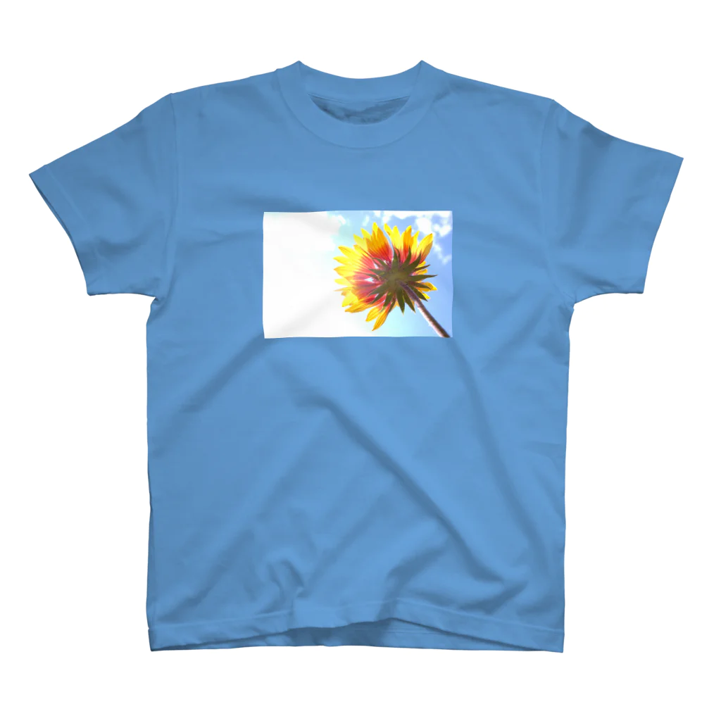 Petal N' Featherの空の下の太陽 スタンダードTシャツ