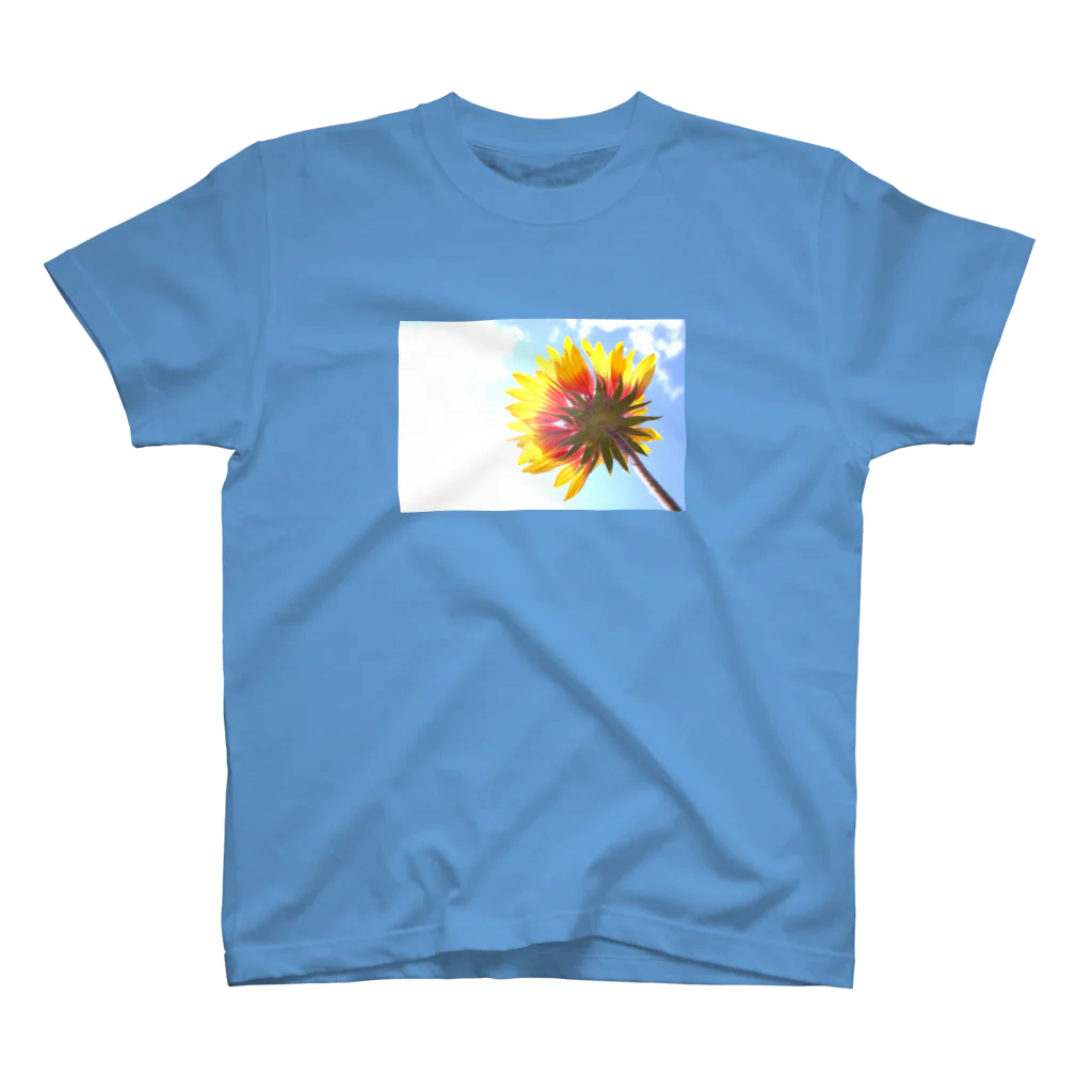 Petal N' Featherの空の下の太陽 Regular Fit T-Shirt