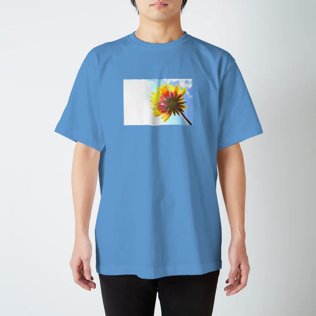 Petal N' Featherの空の下の太陽 スタンダードTシャツ