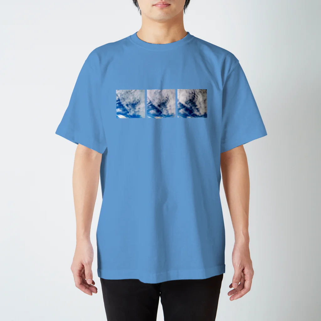 錆猫の館の龍神様のお顔 スタンダードTシャツ