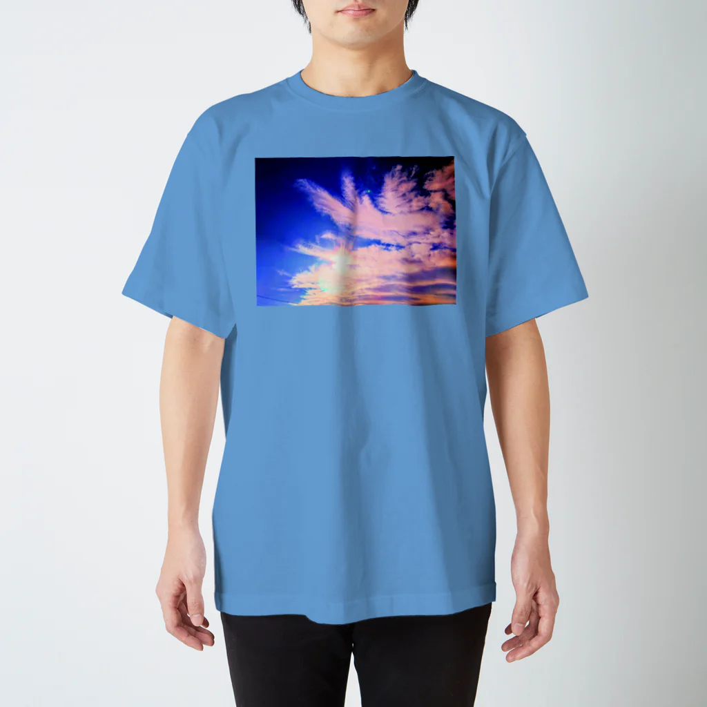 錆猫の館の鳳凰の舞い☆朱色 Regular Fit T-Shirt