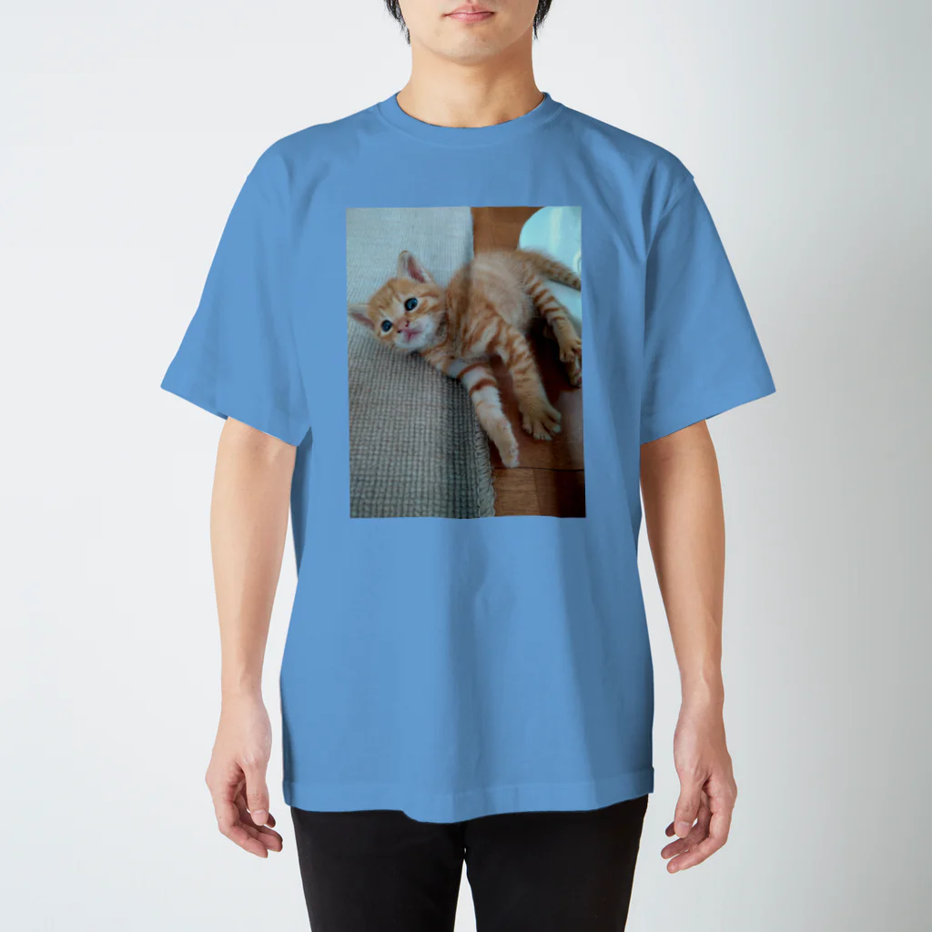 ラペルデラヒーバの猫のしんのすけ スタンダードTシャツ