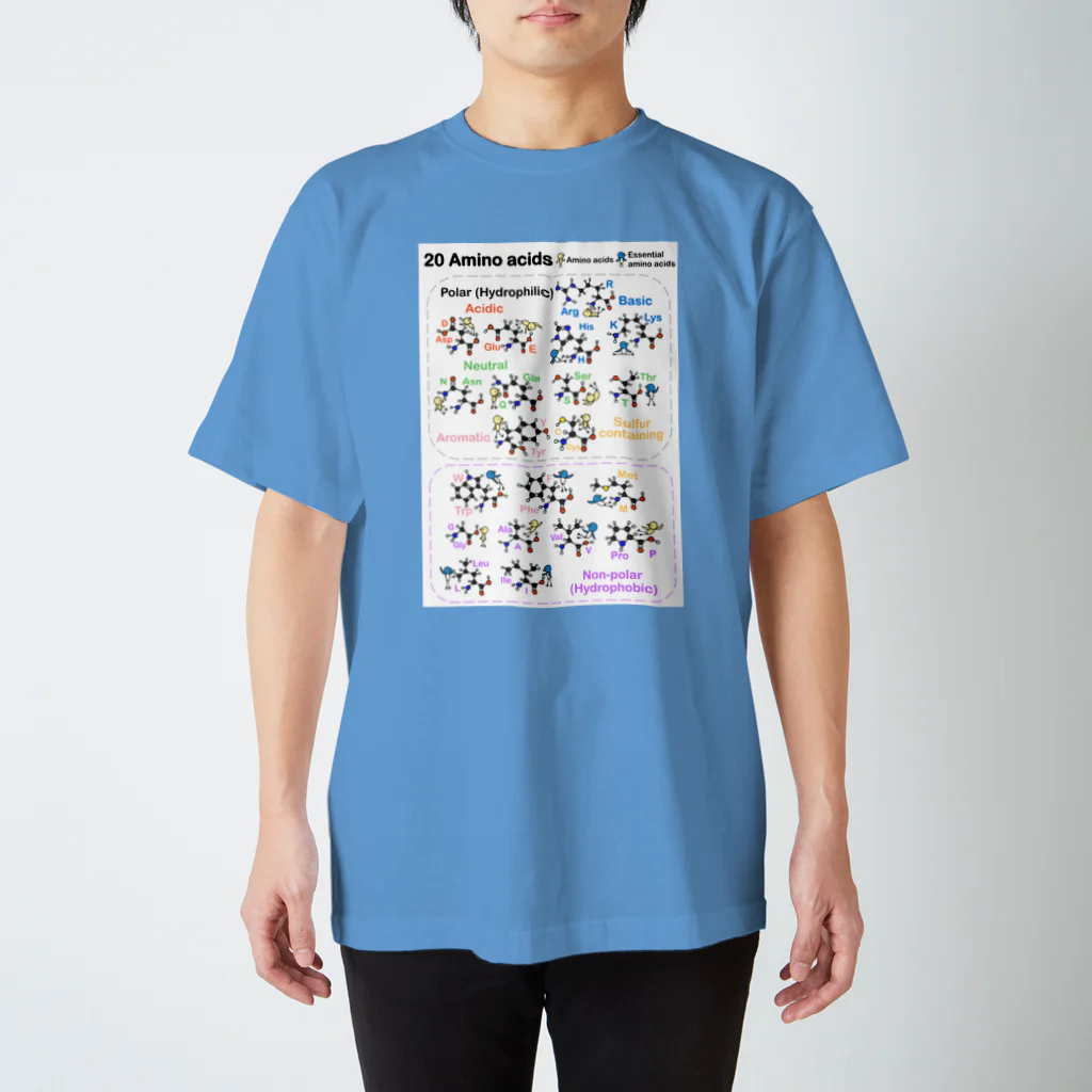 みずしまワークスの20アミノ酸ぴよ(白) スタンダードTシャツ