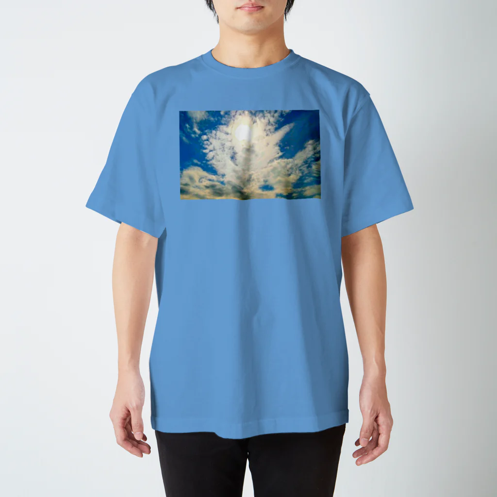 錆猫の館の【A】冠羽の鳳凰 スタンダードTシャツ