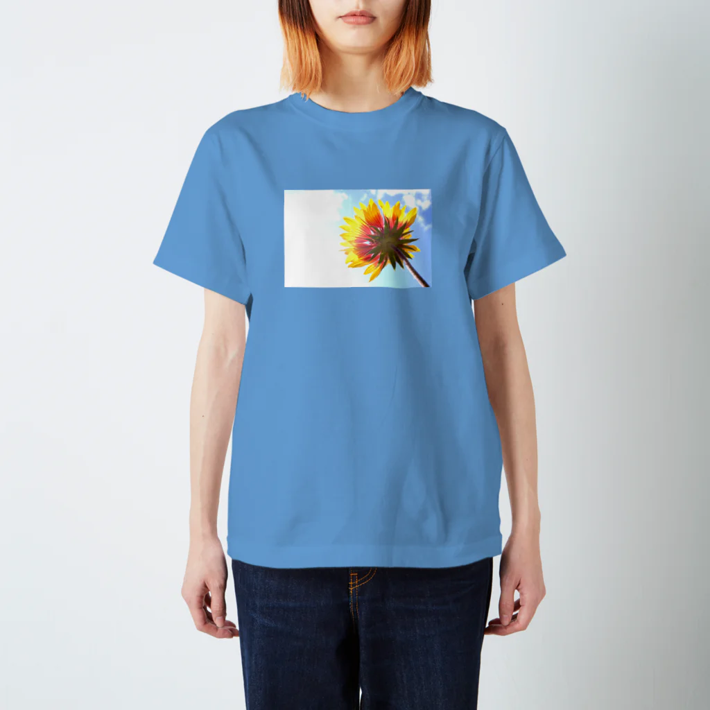 Petal N' Featherの空の下の太陽 スタンダードTシャツ