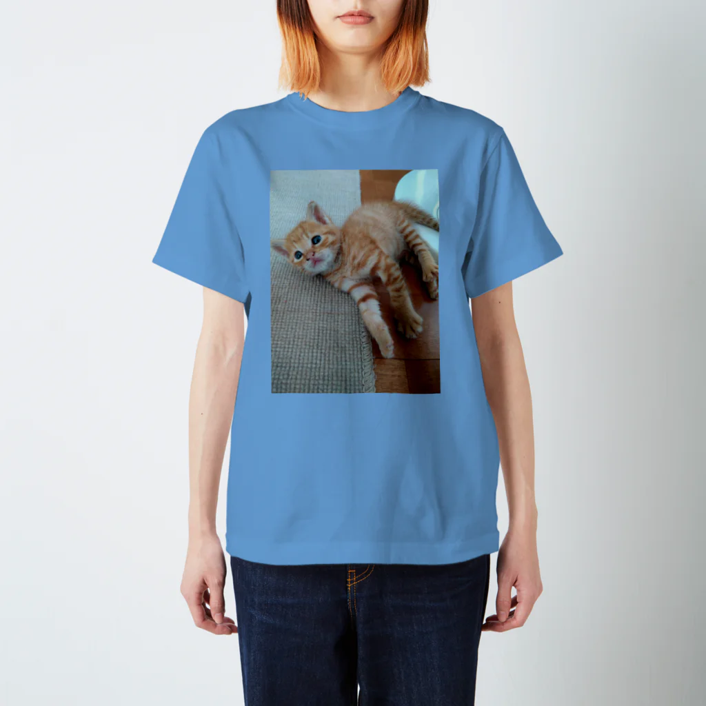 ラペルデラヒーバの猫のしんのすけ スタンダードTシャツ