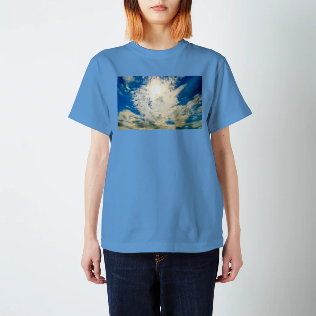 錆猫の館の【A】冠羽の鳳凰 スタンダードTシャツ