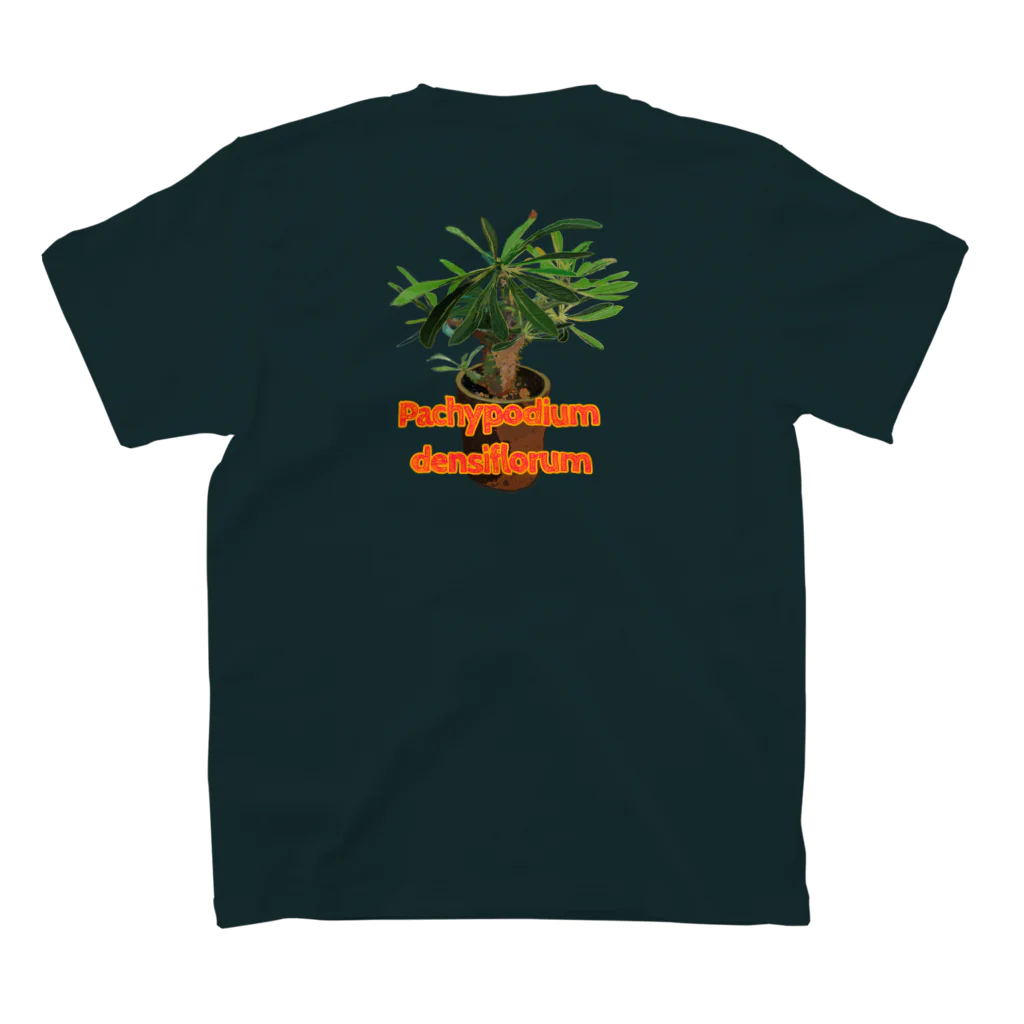 momoのPachypodium densiflorum（L） スタンダードTシャツの裏面