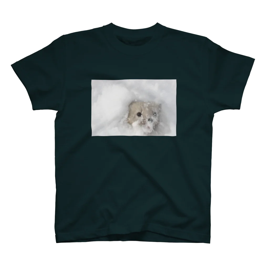 【動物の魔法】動物が好きな全ての人が笑顔溢れる毎日を過ごすための雑貨店◆にこらびの暮らしに役立つ★サロベツのエゾクロテン Regular Fit T-Shirt