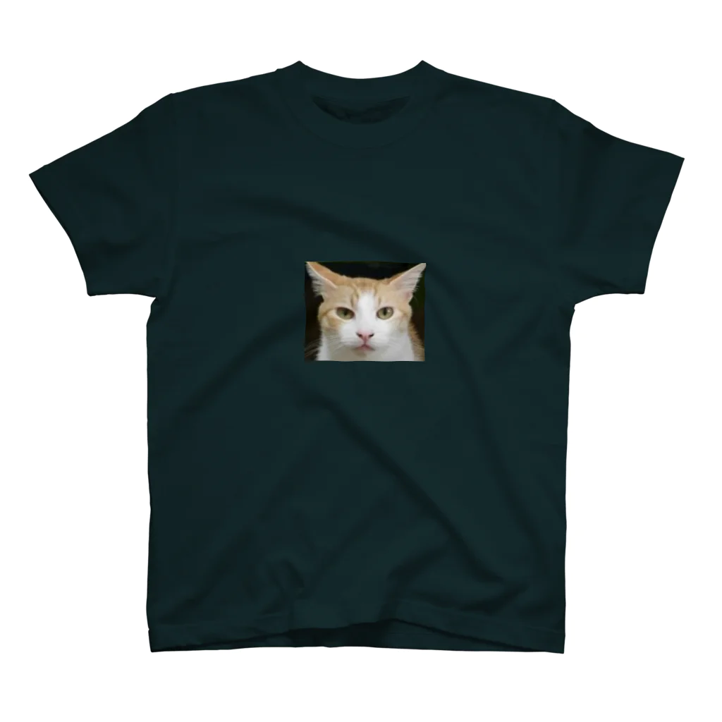 ねこちゃーーーーん。のねこちゃーーーーん。 スタンダードTシャツ