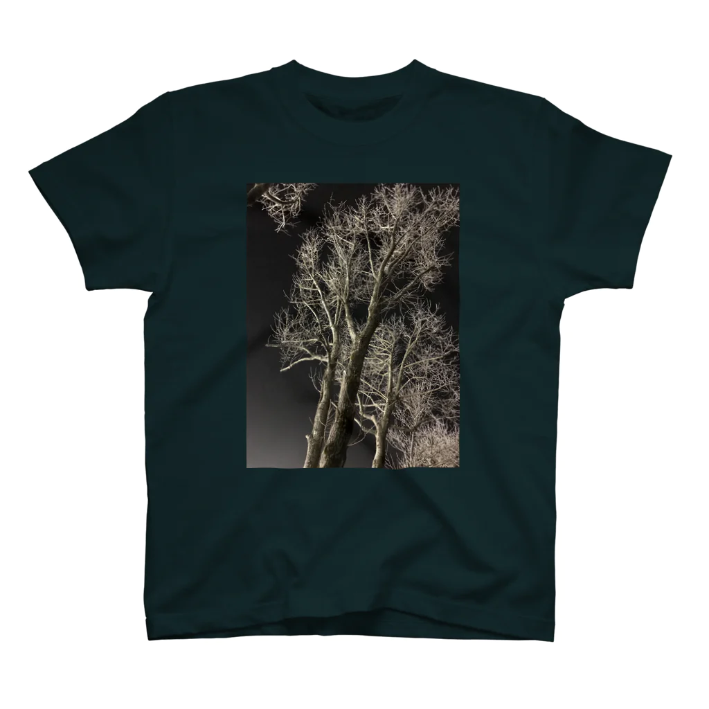 空屋　sorayakusakaの202001121944000　夜の樹木 Regular Fit T-Shirt