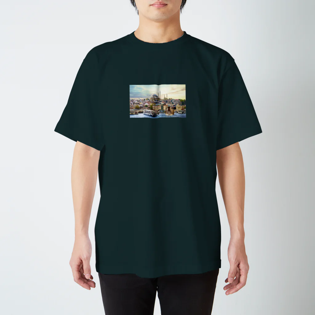 イノカ・ワイガワの6.トルコでひょっこり　モモの気ままな世界旅 スタンダードTシャツ