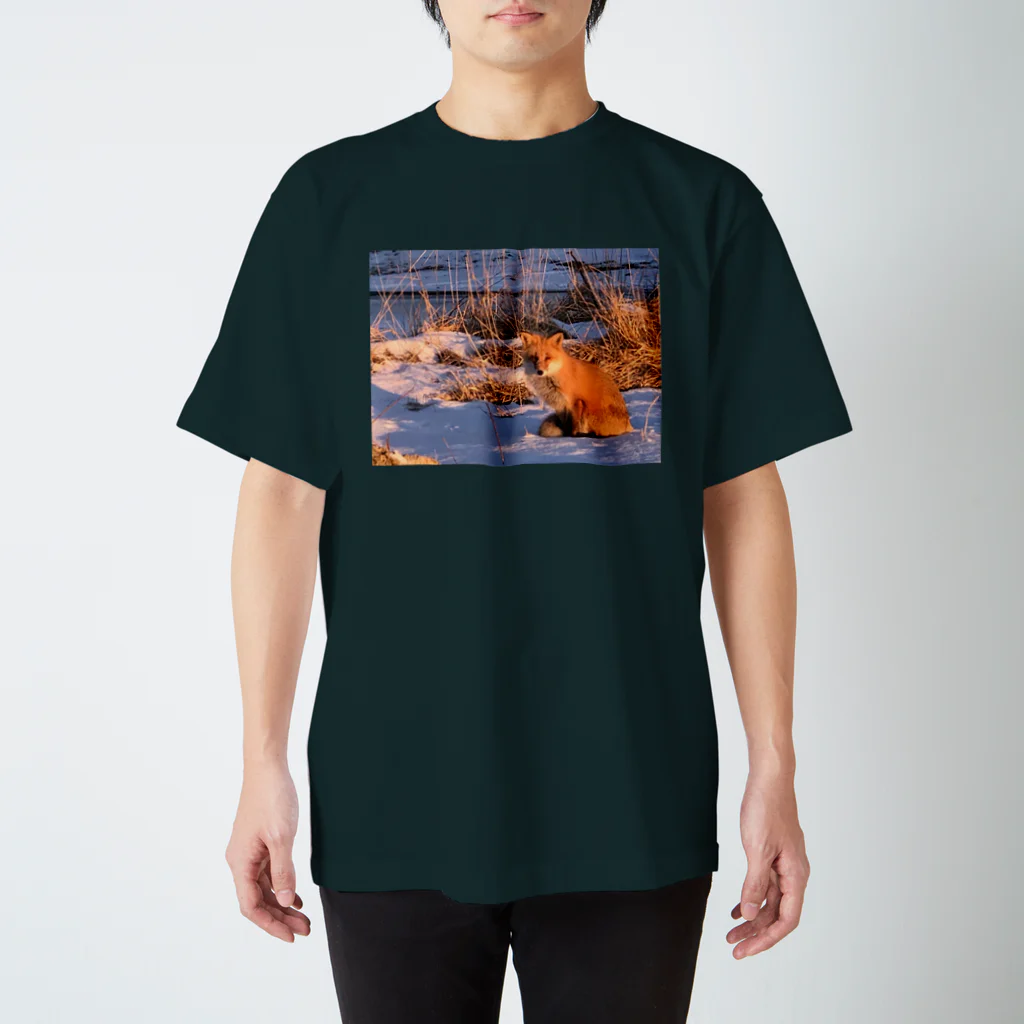 空屋　sorayakusakaの202201010715000　朝日の中のキタキツネ Regular Fit T-Shirt