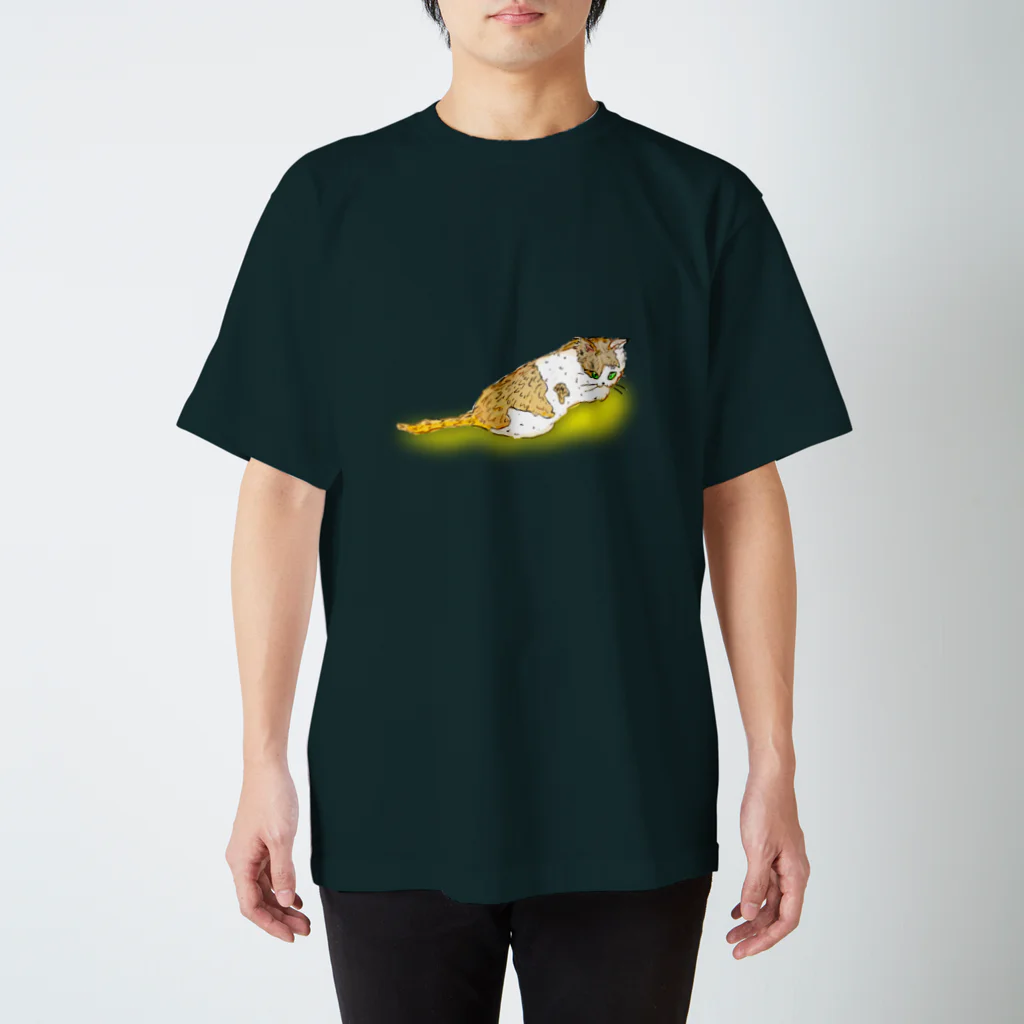 もちけらの長し目ねこちゃん。 スタンダードTシャツ