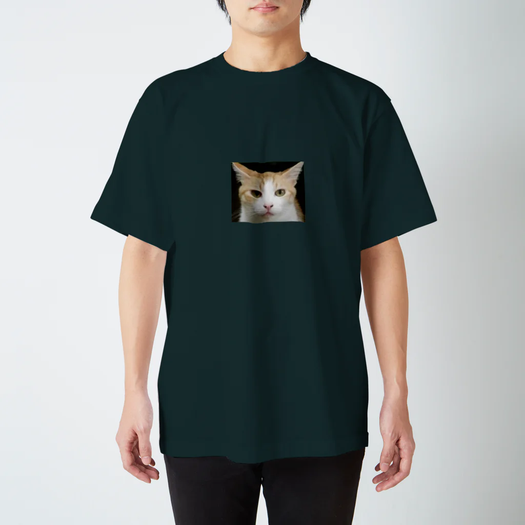 ねこちゃーーーーん。のねこちゃーーーーん。 スタンダードTシャツ