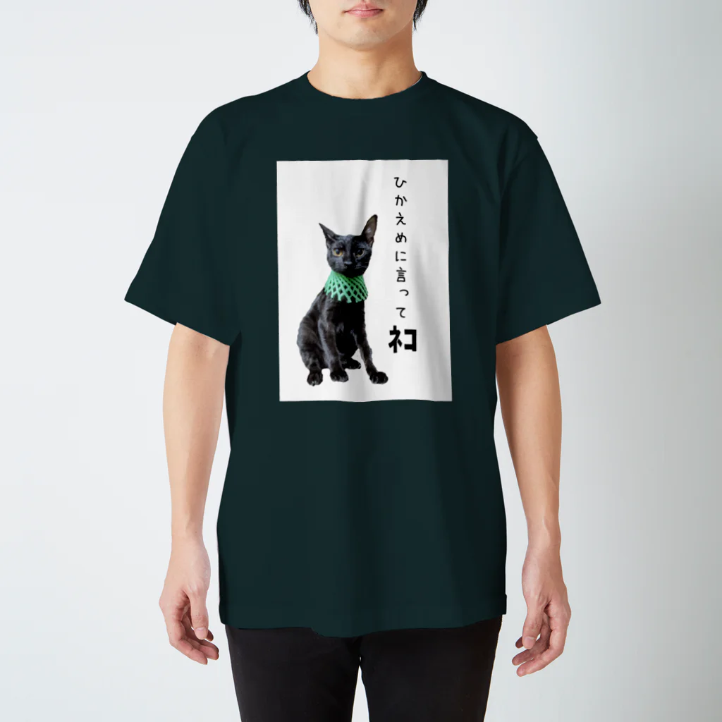 nekoinuitachi-kaori保護猫 TNRなどのひかえめに言ってねこ スタンダードTシャツ