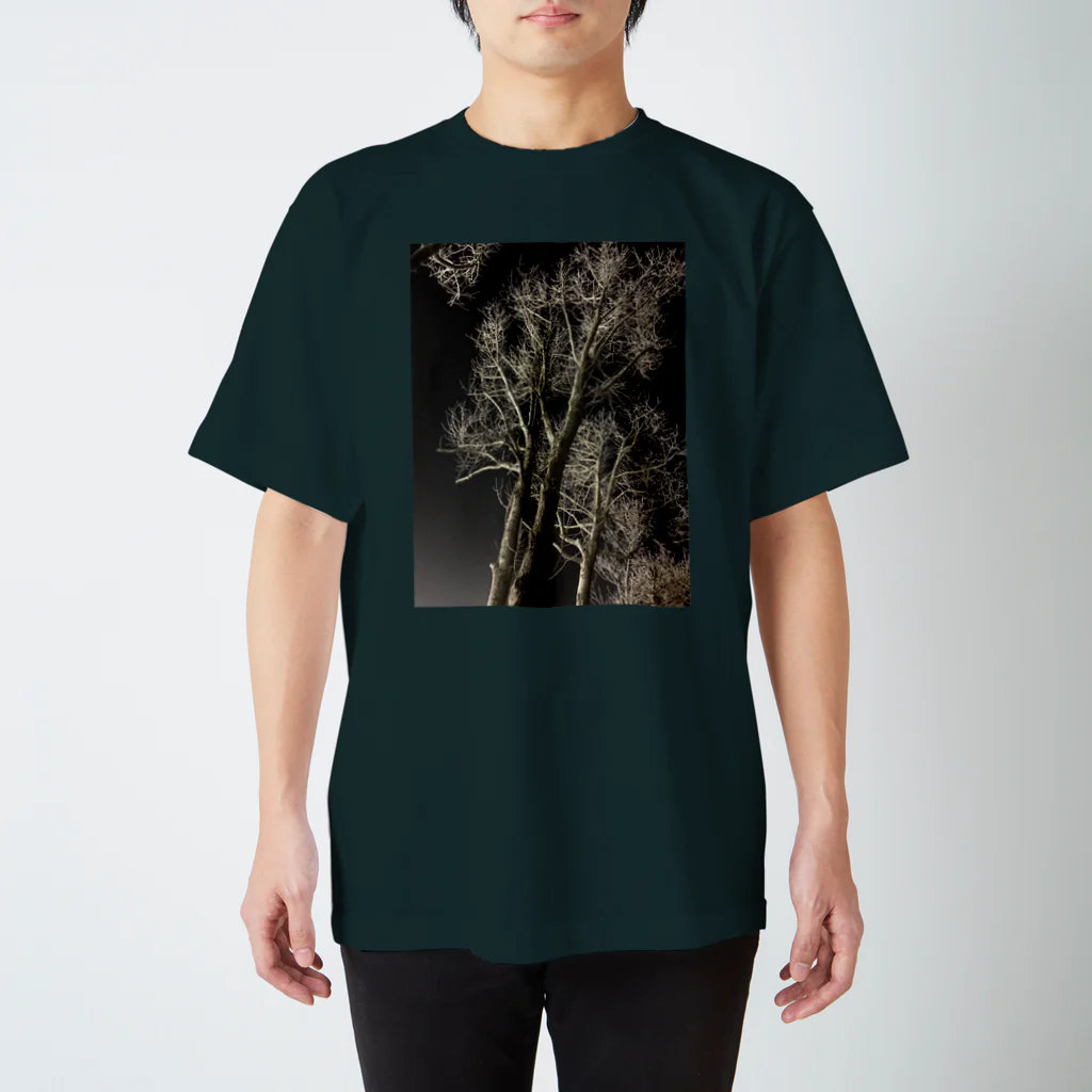空屋　sorayakusakaの202001121944000　夜の樹木 Regular Fit T-Shirt