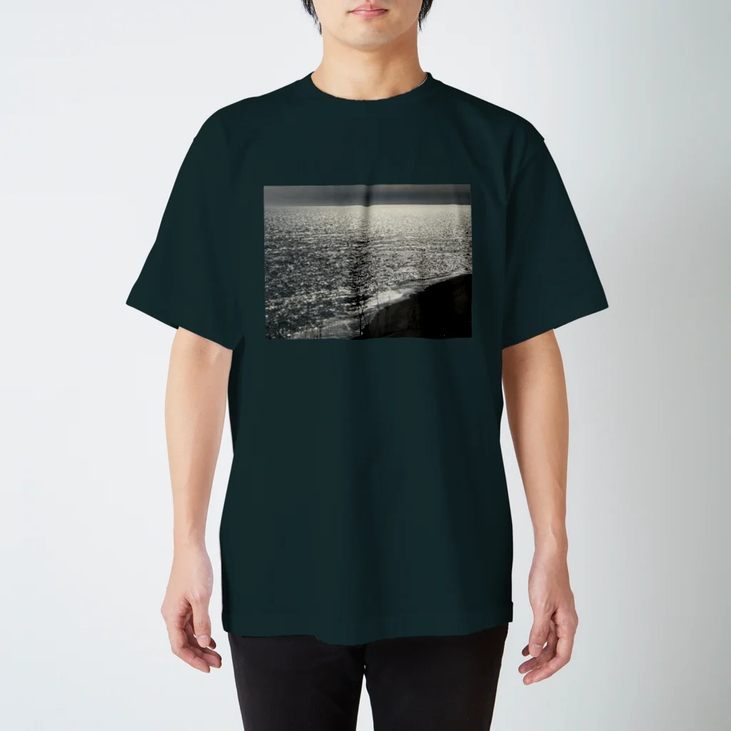 空屋　sorayakusakaの202004241513000　銀の海岸線 Regular Fit T-Shirt