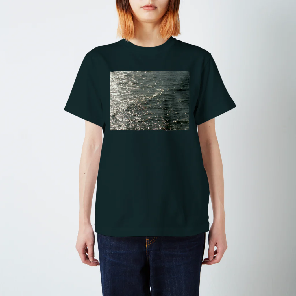 空屋　sorayakusakaの201410241247000 　海面は燻し銀 Regular Fit T-Shirt