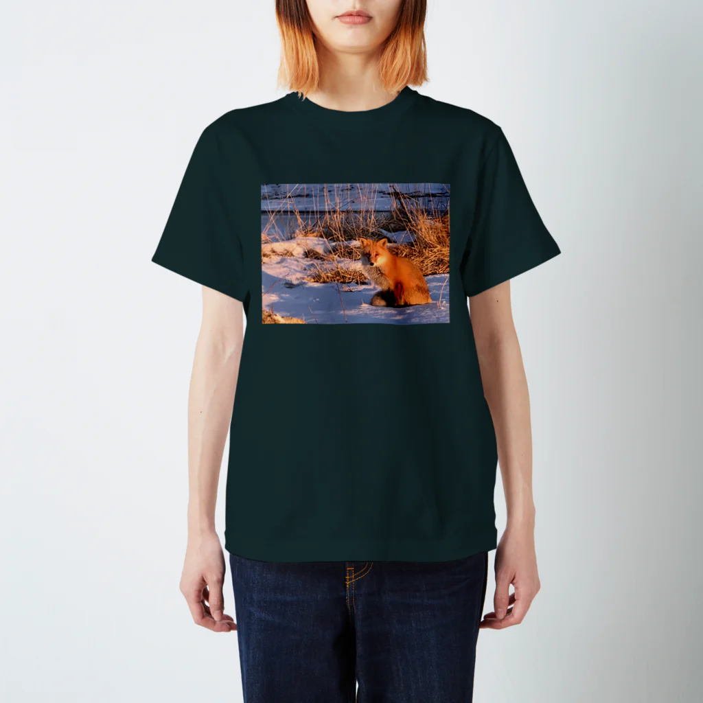 空屋　sorayakusakaの202201010715000　朝日の中のキタキツネ Regular Fit T-Shirt