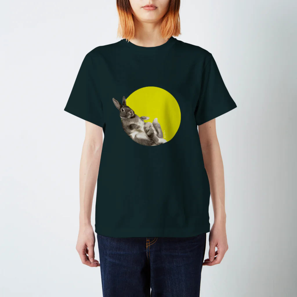 kawano_lonの満月だっこうさぎゆずくん スタンダードTシャツ