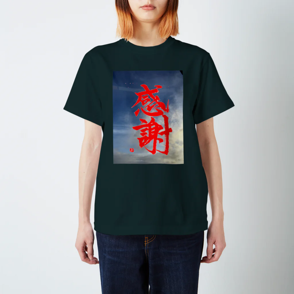 筆文字ふでちゃんの書道作品〜感謝〜 Regular Fit T-Shirt