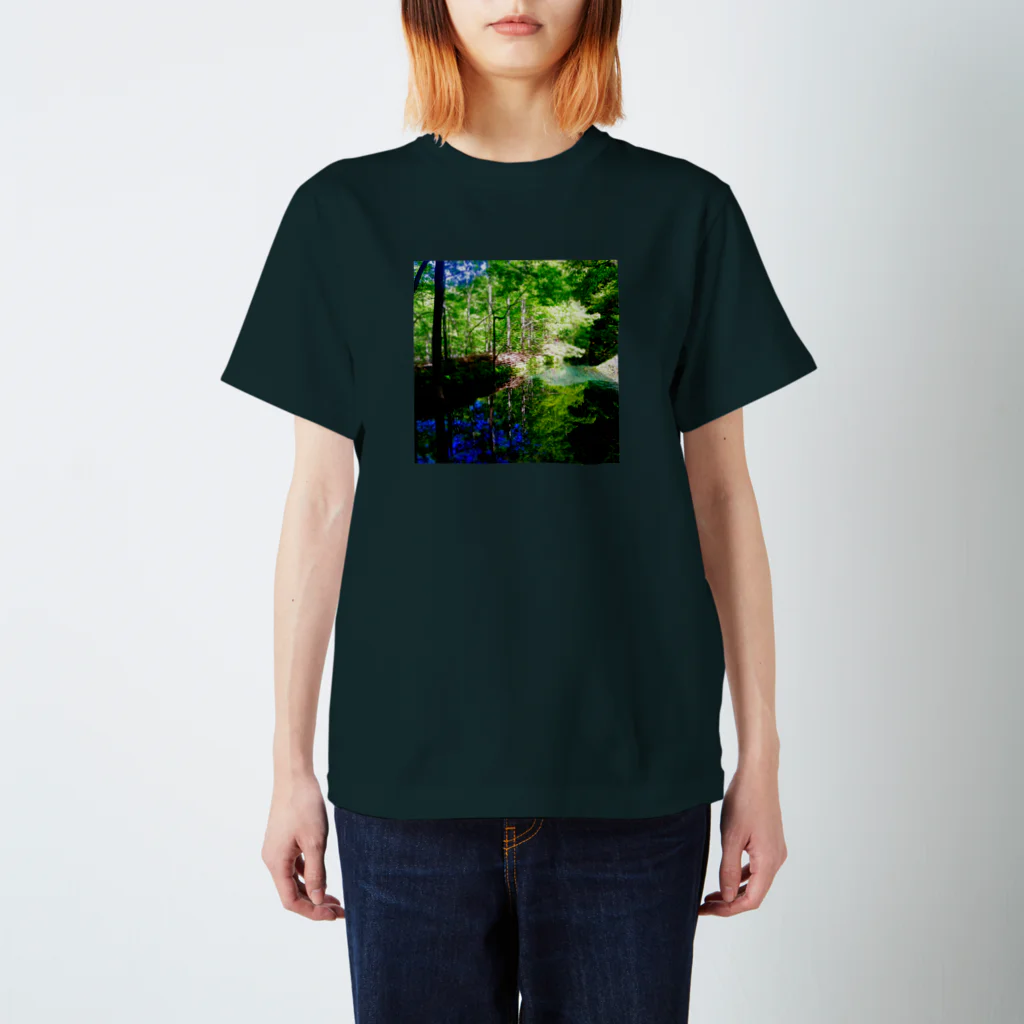 Machi DuckのMachiDuck Green05 スタンダードTシャツ