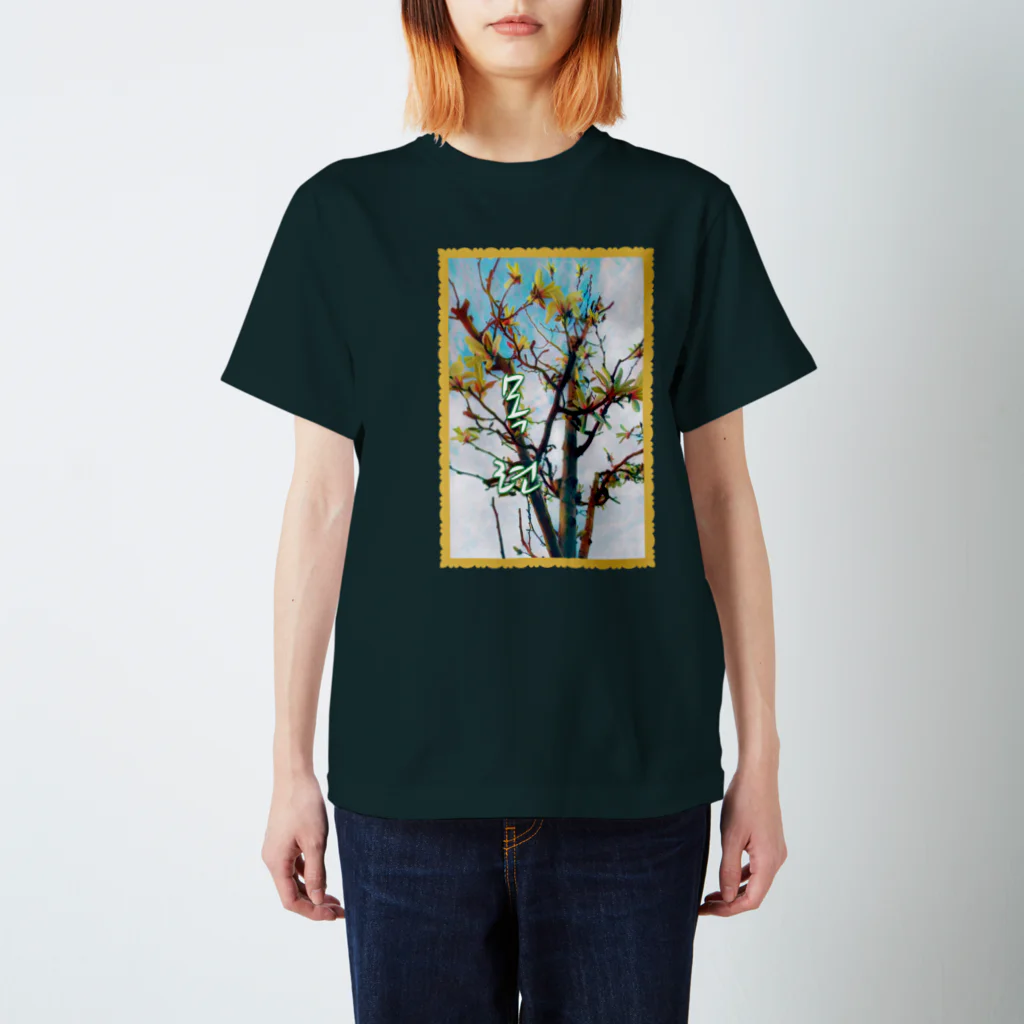 LalaHangeulの목련 ~辛夷の花~ スタンダードTシャツ