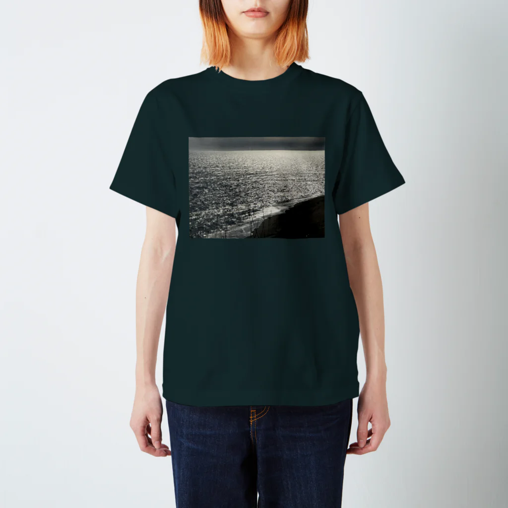 空屋　sorayakusakaの202004241513000　銀の海岸線 Regular Fit T-Shirt