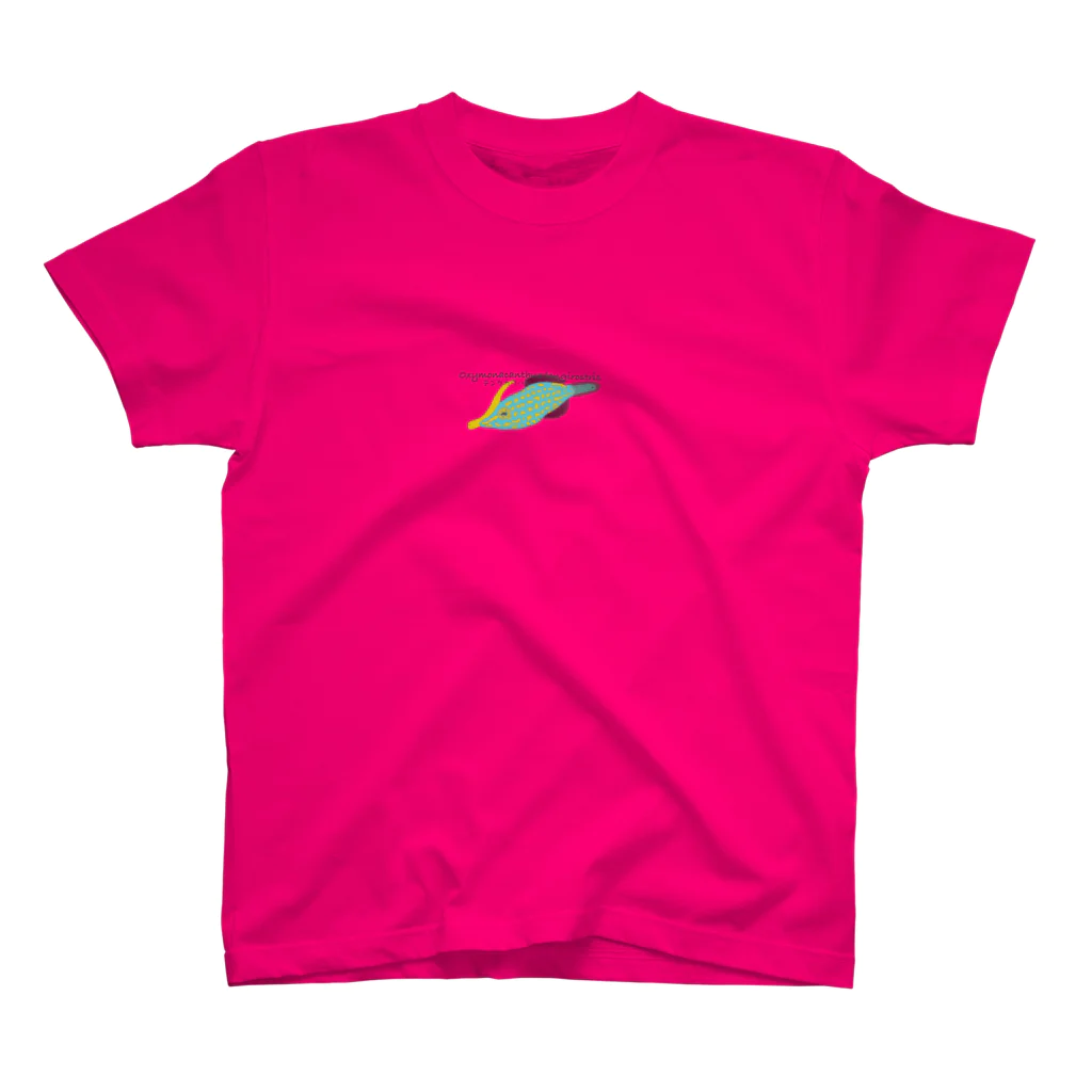 マッキーのTシャツ屋さん(mayuma design)のカラフルフィッシュ スタンダードTシャツ