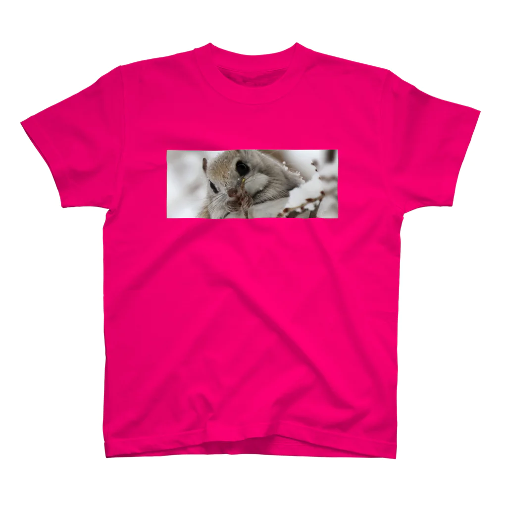 【エゾモモンガの店】使うだけで人生豊かに生られるサロベツの動物◆にこらびの【エゾモモンガ】毎日が楽しくなる Regular Fit T-Shirt