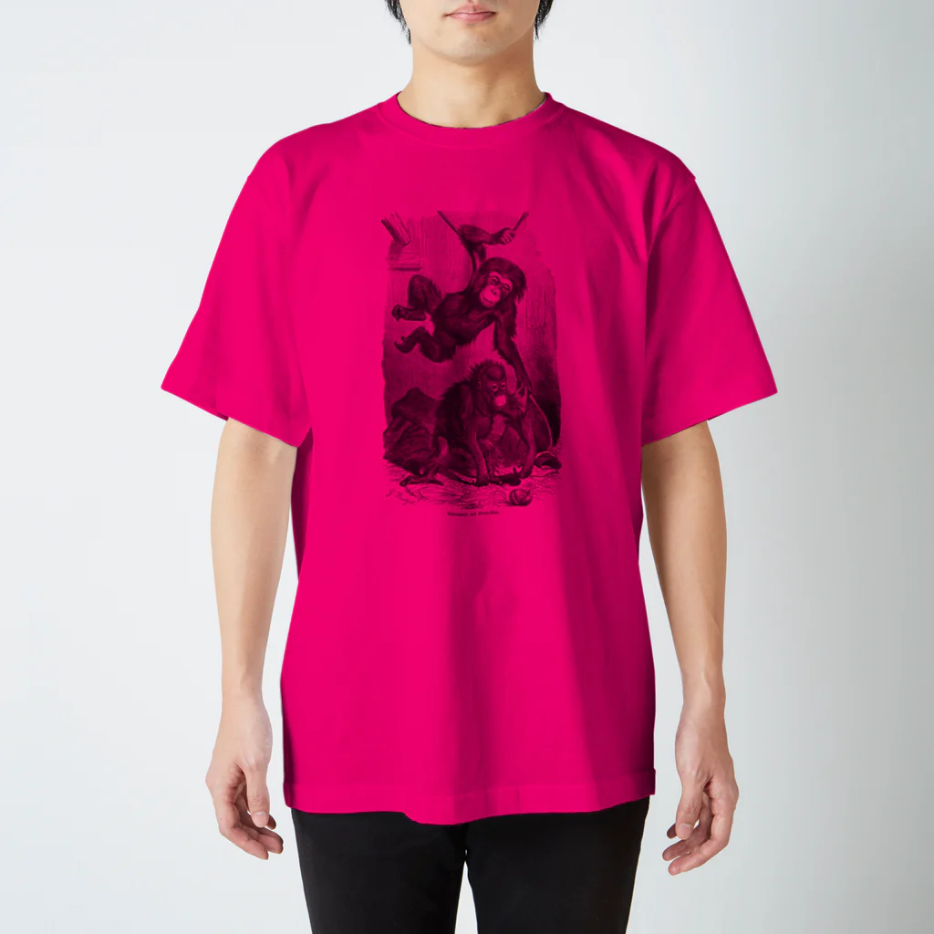 博物雑貨 金烏のThe British Library - Chimpanzee and orangutan スタンダードTシャツ