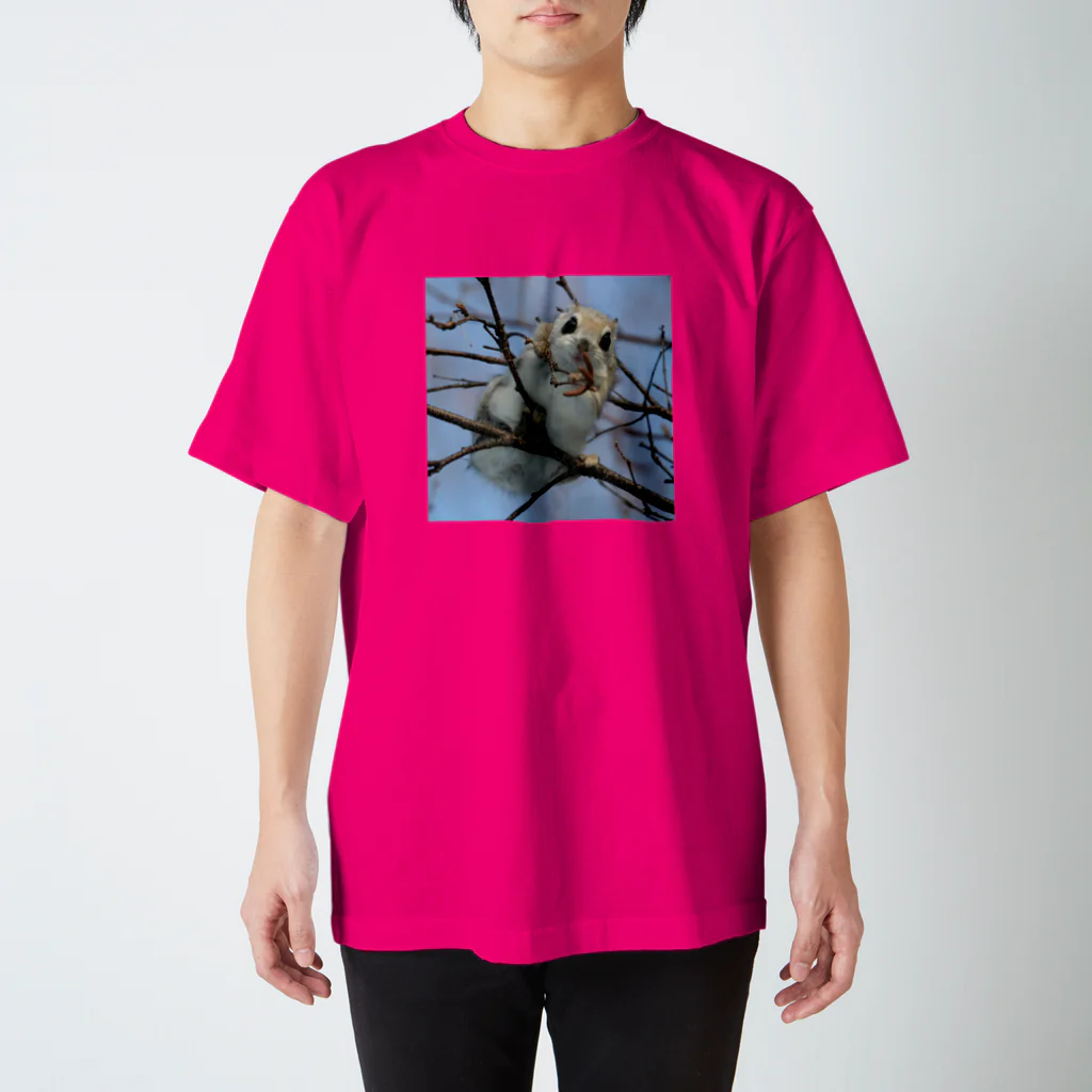 【エゾモモンガの店】使うだけで人生豊かに生られるサロベツの動物◆にこらびの【サロベツのエゾモモンガ】 Regular Fit T-Shirt