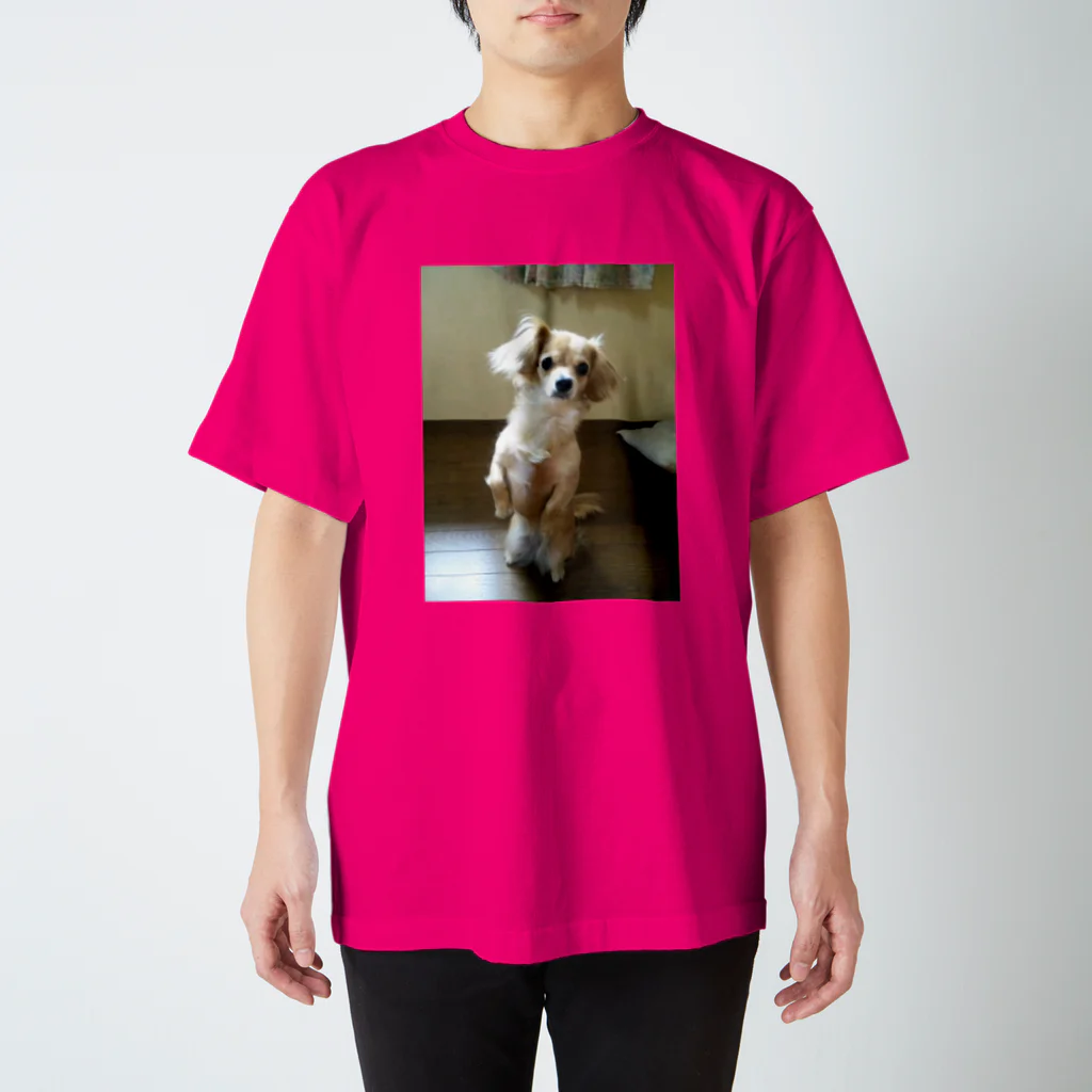 ヤスべ～のかわいい犬のチャイです。 Regular Fit T-Shirt