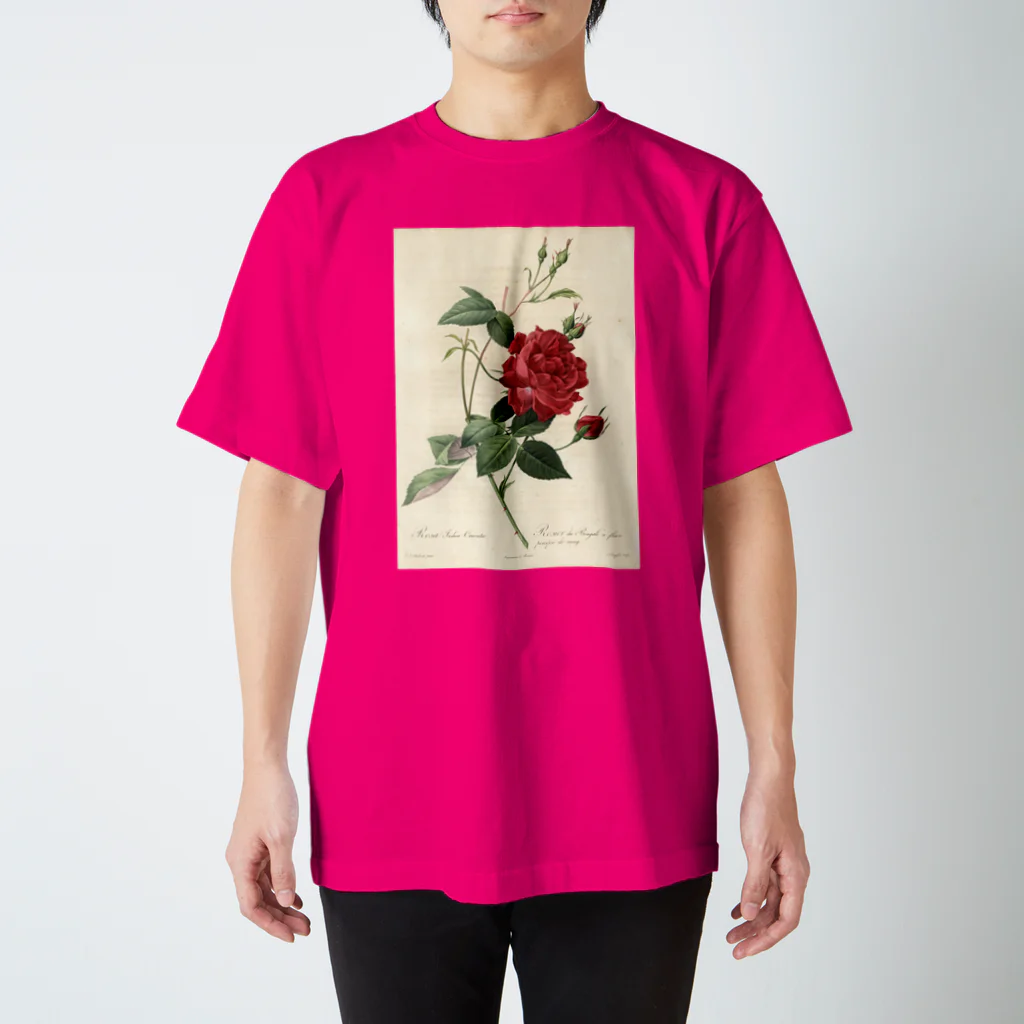 J. Jeffery Print Galleryのルドゥーテ「バラ図譜」 Regular Fit T-Shirt