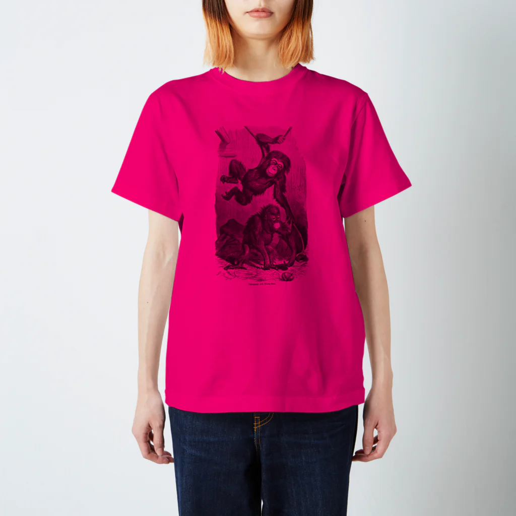 博物雑貨 金烏のThe British Library - Chimpanzee and orangutan スタンダードTシャツ