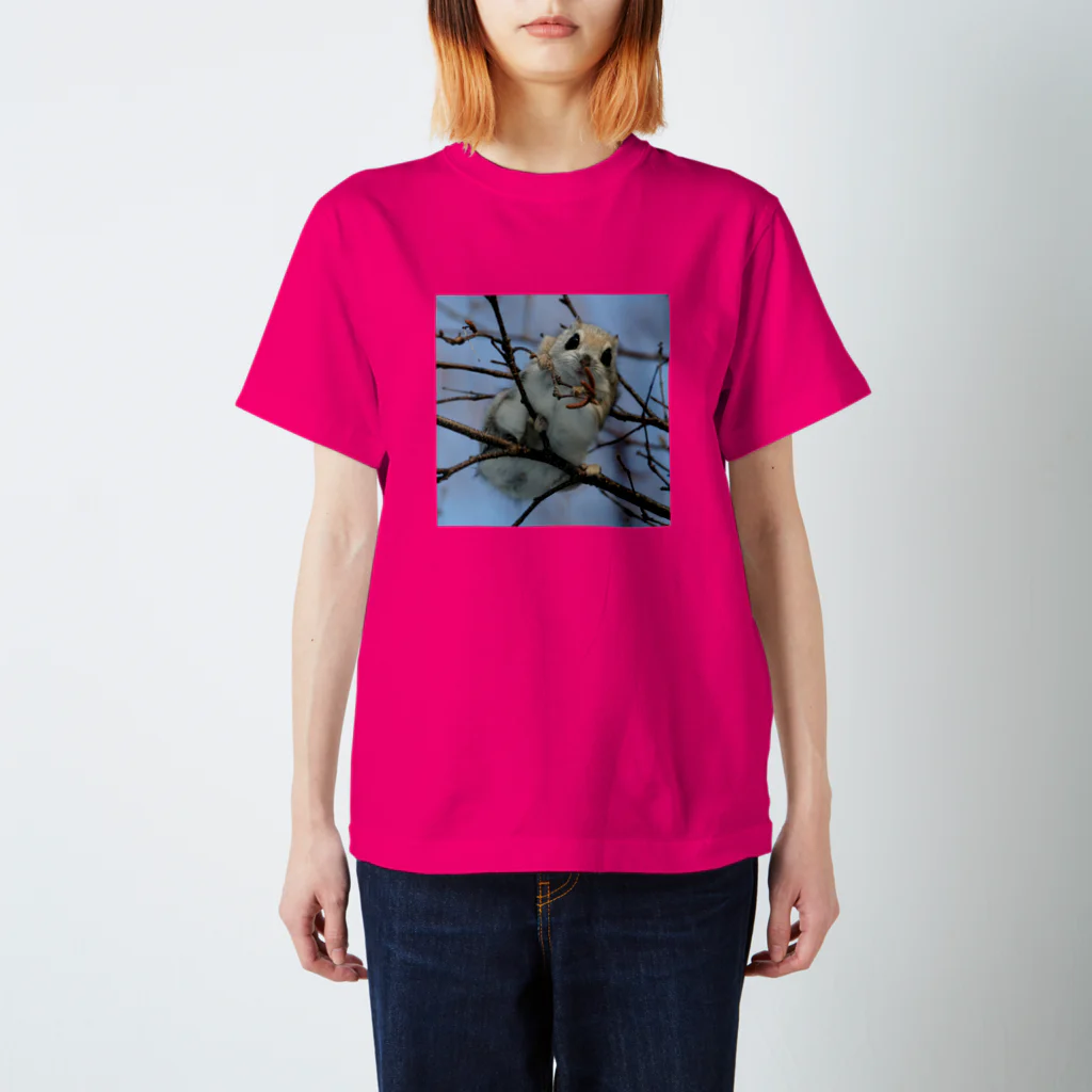 【エゾモモンガの店】使うだけで人生豊かに生られるサロベツの動物◆にこらびの【サロベツのエゾモモンガ】 Regular Fit T-Shirt