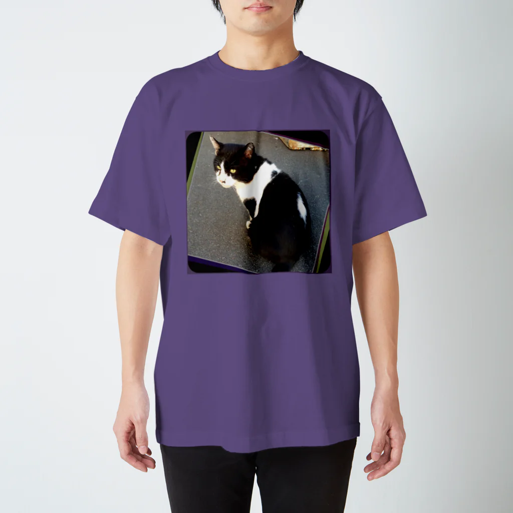 虹石屋の漁港の猫 Regular Fit T-Shirt