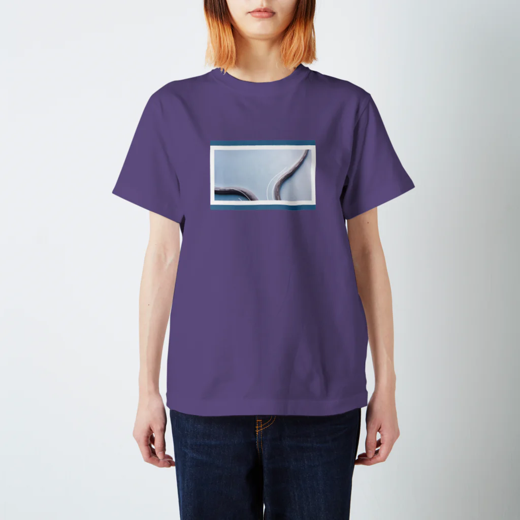 DecoLacertaのsnake line Regular Fit T-Shirt