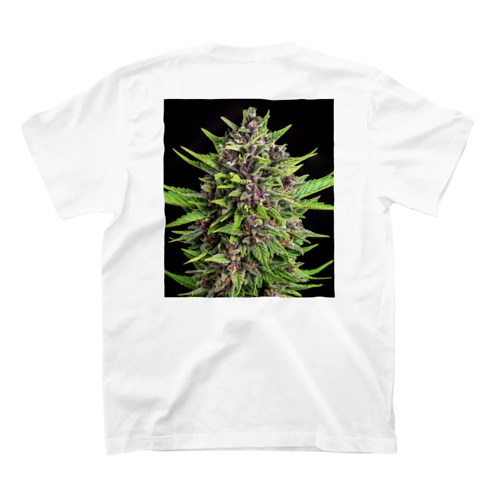 Master 黒崎の大麻裏A スタンダードTシャツの裏面