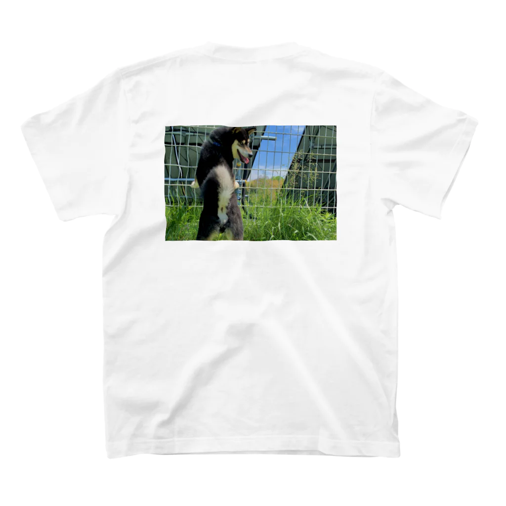 柴犬と柴犬の初夏と柴犬(両面) スタンダードTシャツの裏面